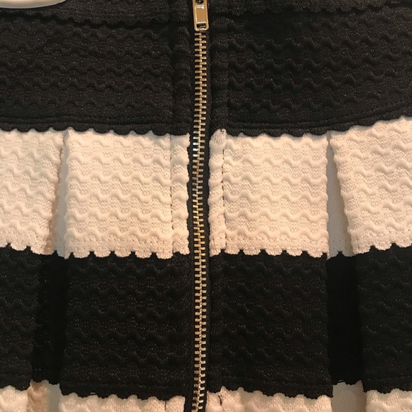 NWT Classic Pleated Size S Skirt - Picture 4 of 4